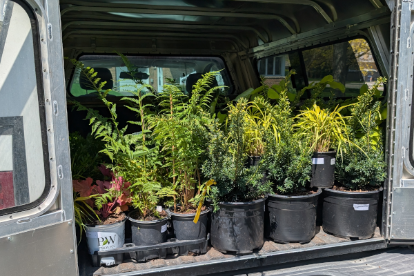 Gardens in the City Delivers plants